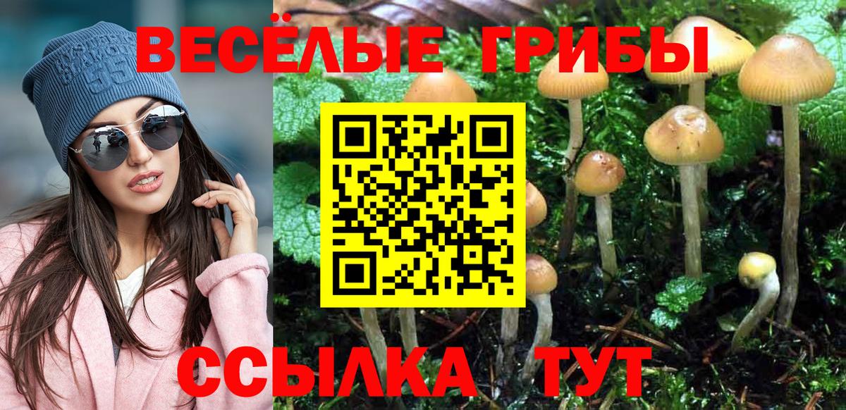 где купить наркотик  Псилоцибиновые грибы Psilocybe  Галлюциногенные грибы Psilocybine cubensis  Вход с VPN  Балашиха 